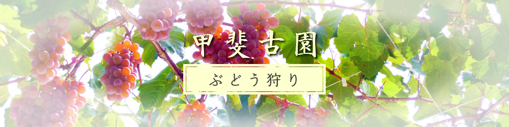 甲斐古園の「ぶどう狩り」