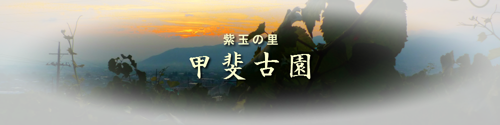 甲斐古園「アクセス・地図」