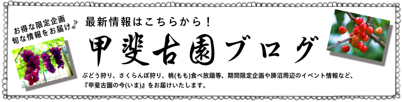 甲斐古園 最新情報ブログ