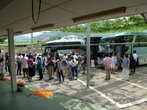 山梨 勝沼 さくらんぼ狩り 甲斐古園