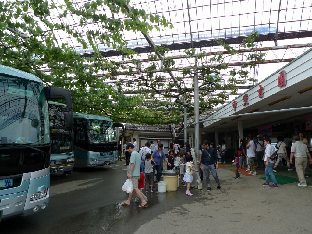 山梨 勝沼 さくらんぼ狩り 甲斐古園