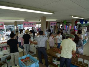 山梨 勝沼 さくらんぼ狩り 甲斐古園