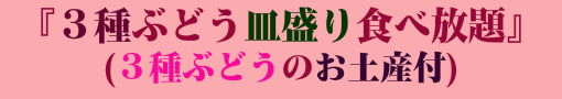 ３種ぶどう 皿盛り食べ放題（３種ぶどうのお土産付）