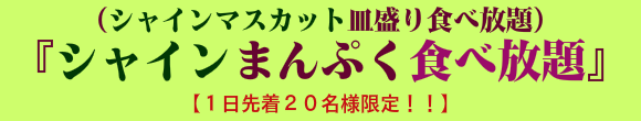 シャインまんぷく食べ放題