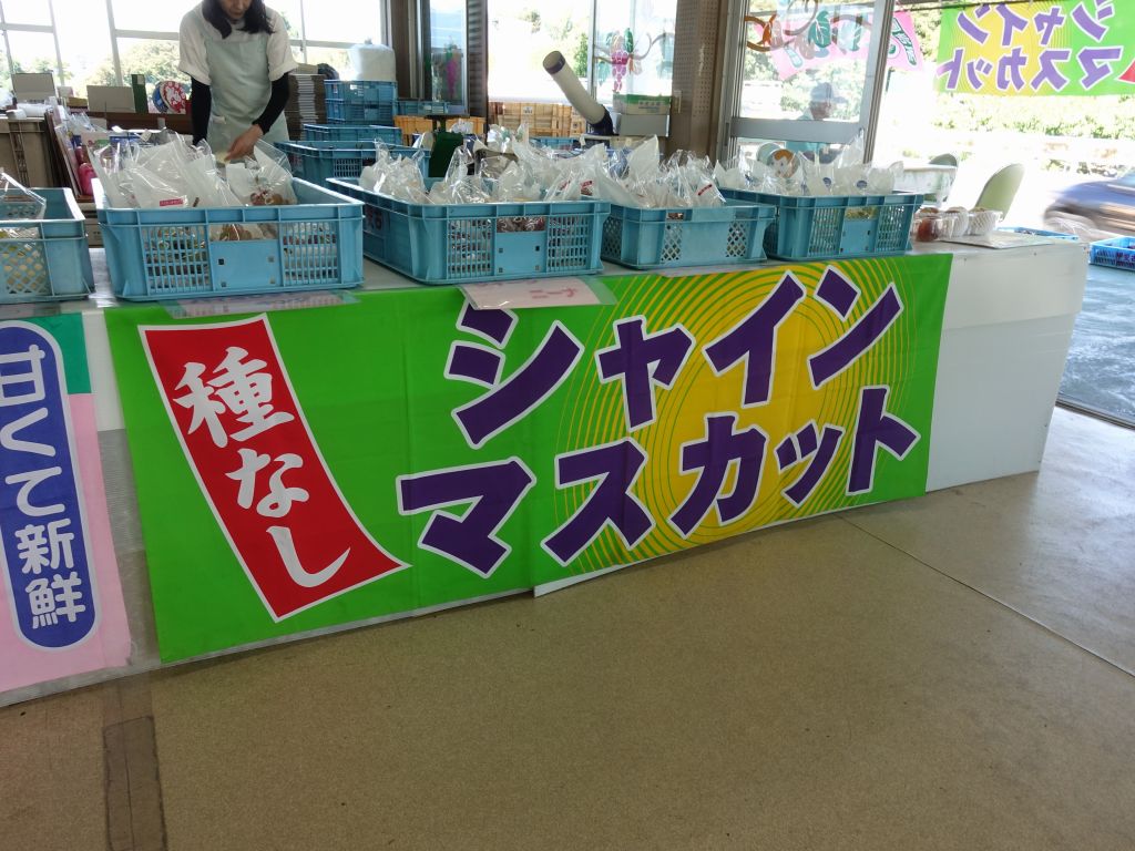 甲斐古園のぶどう狩り・食べ放題