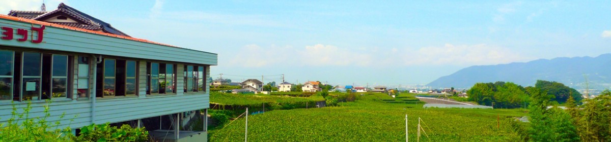 甲斐古園 お客様の声